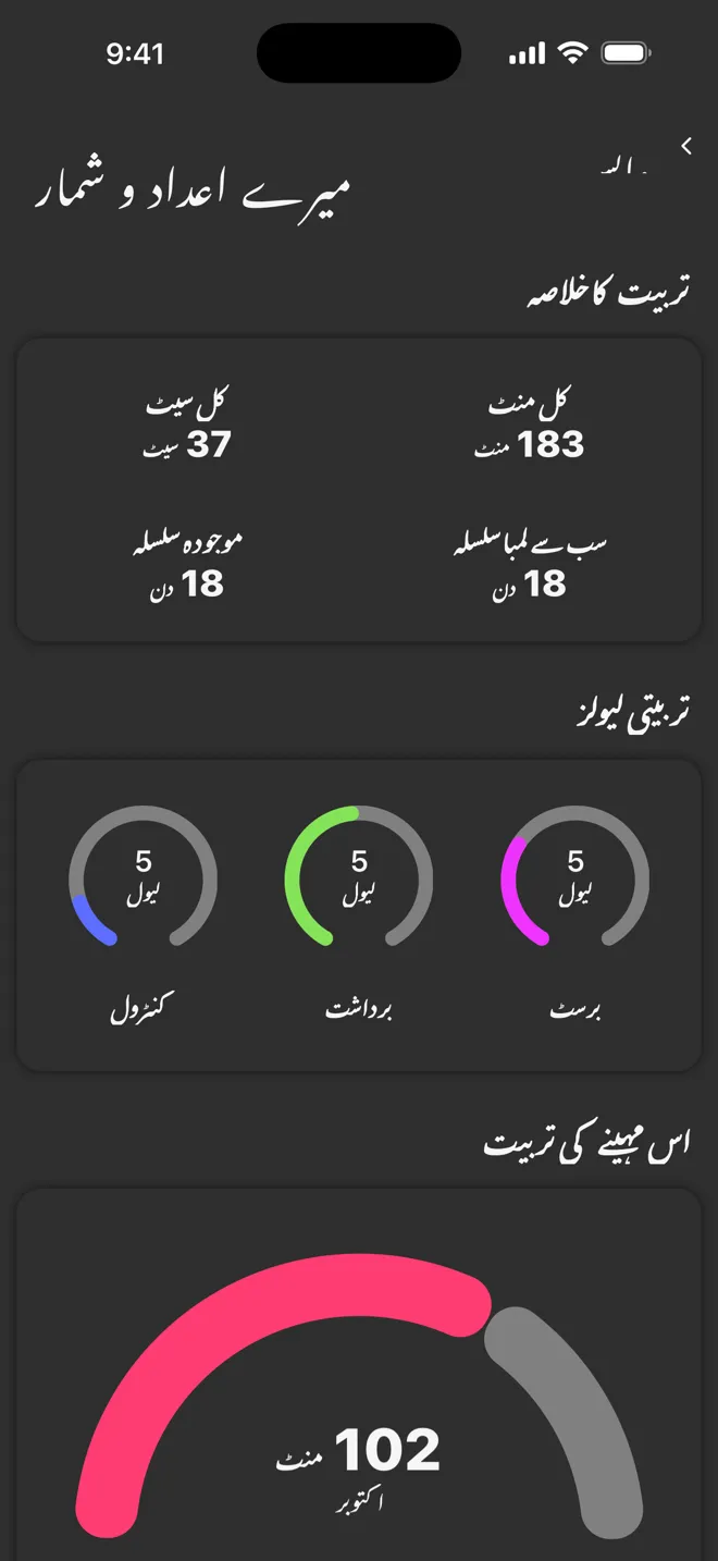 Rock ایپ میں میرے اعداد و شمار کی اسکرین، کل منٹ، کل سیٹ، سلسلے اور تربیتی لیولز کے ساتھ