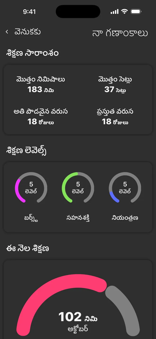 Rock యాప్‌లో నా గణాంకాలు స్క్రీన్, మొత్తం నిమిషాలు, మొత్తం సెట్లు, వరుసలు మరియు శిక్షణ లెవెల్స్‌తో